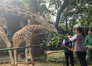 Wamenpar Ni Luh: Sidak Bogor, Pastikan Aman Wisatawan dari Pohon Tumbang & Jalur Evakuasi
