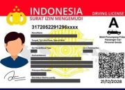 SIM mati di libur Tahun Baru 2026, ini aturan perpanjangannya