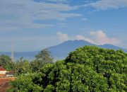 Kisah Foto: Riset Kelapa BRIN-GAPNI, Salatiga-Semarang