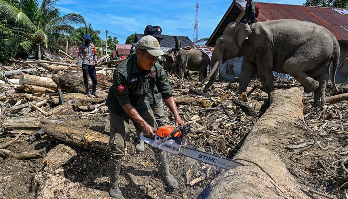 Tragedi Sumatera: Ratusan Jiwa Melayang, Identifikasi Terhambat