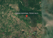 Warga Tesso Nilo Siap Keluarkan Rp 30 M Tahunan untuk Solusi Penghijauan Tanpa Relokasi