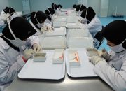RLCO IPO: Siapa Pemilik Sebenarnya?