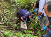 Petik Kelapa, Warga Karangasem Temukan Brankas Isi Ratusan Juta