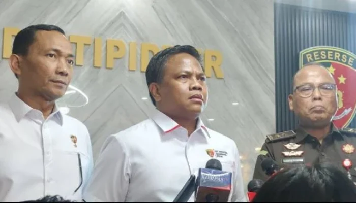 Polisi Jerat Pembalak Liar Bencana Sumut: 2 Pidana