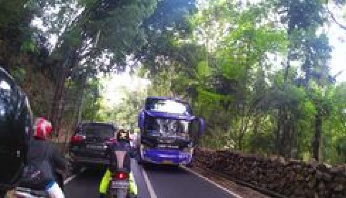 Bandung-Pangandaran: Estimasi Waktu, Tarif, & Jadwal Bus Liburan
