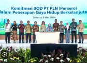 PLN Tanam 3.000 Pohon di Rejang Lebong, Perkuat Ekologi dan Harapan Ekonomi Warga
