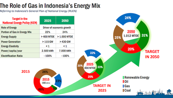 NLNG’s Sustainable LNG Vision Unveiled