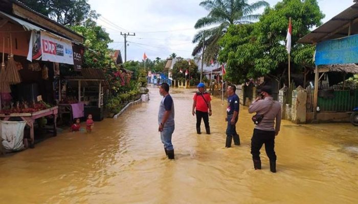Banjir Menghancurkan, 3 Bupati Aceh Menyerah, Aceh Timur Berjuang dengan Keterbatasan