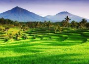 Desa Kuala Dua Terpadat di Sungai Raya Kubu Raya