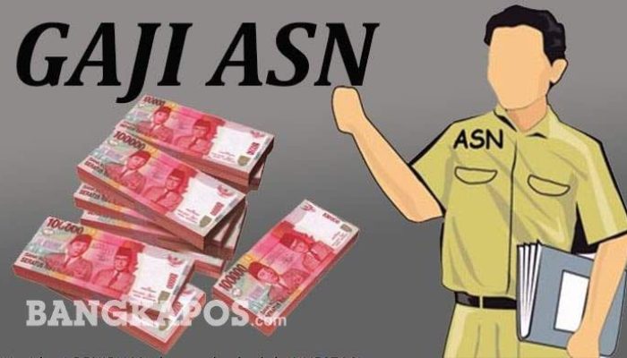 Gaji PNS 2026: Naik atau Tidak? Simak Rincian Golongan I-IV