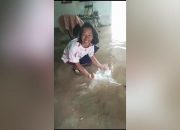 Rob Lumpuhkan Puluhan Rumah di Tanjung Mentok