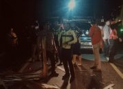 Kecelakaan beruntun di jalur Gumitir Jember-Banyuwangi, libatkan tronton muatan triplek