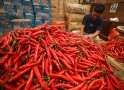 Harga Pangan Hari Ini: Beras dan Cabai Kompak Turun