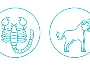 Ramalan Zodiak 27 Jan 2026: Scorpio & Taurus – Karier, Cinta, Keuangan, Kesehatan