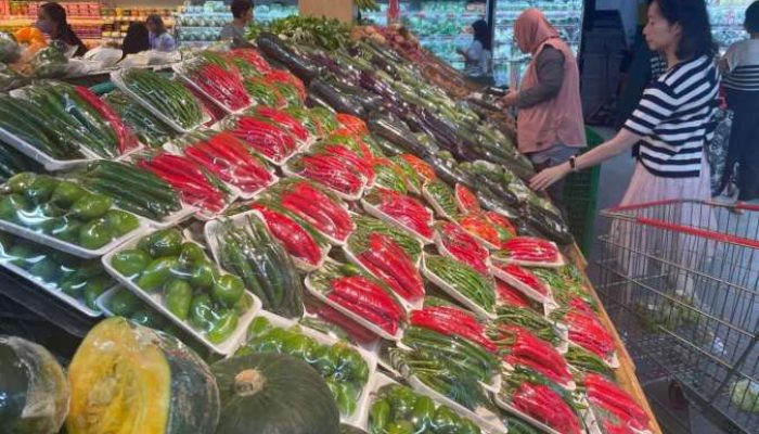 BI: Penjualan Ritel Diprediksi Naik Desember 2025