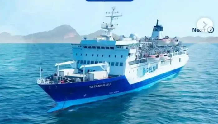 Jadwal KM Tatamailau Jan 2026: Palu-Surabaya Lusa, Tiket di Pelni.co.id