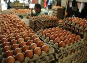 Pantauan harga telur di Pasar Mandalika, bertahan di angka Rp50 ribu per tray