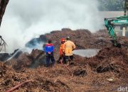 Gudang Beku Lebak Terbakar: Damkar Ungkap Penyebabnya