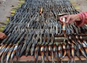 Melihat produksi ikan asap khas Kotabaru Kalsel, Maje selalu pantau tingkat kematangan