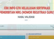 Pulihkan OTP GTK: Akses NRG & SKTP Mudah