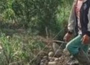 Tiga Kades Sigi Dicopot Sementara Akibat Dana Desa Bodong