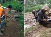 Perburuan Rampung Sebelum Puasa: Tak Terbendung