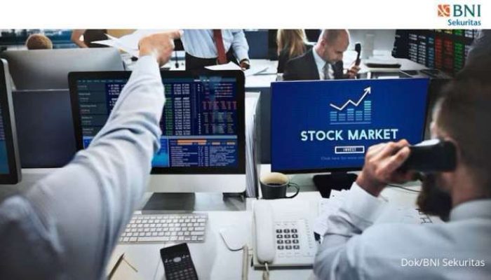 Portofolio Aman: Pilih Instrumen Digital Anti-Rugi untuk Pemula