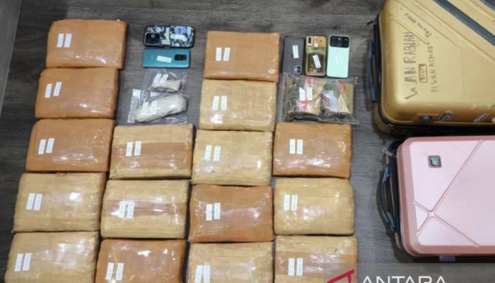 Polda Metro Jaya Gagalkan Peredaran 17 Kg Ganja, 4 Pengedar Diringkus