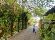 Cuaca Teduh Balikpapan: Sempurna untuk Aktivitas Luar Ruang