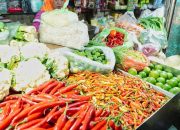 Bapanas Klaim Harga Cabai Turun: Fakta Info Pangan Jakarta