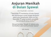 Luminaire Shireen: Kilau Syawal di Bulan Suci