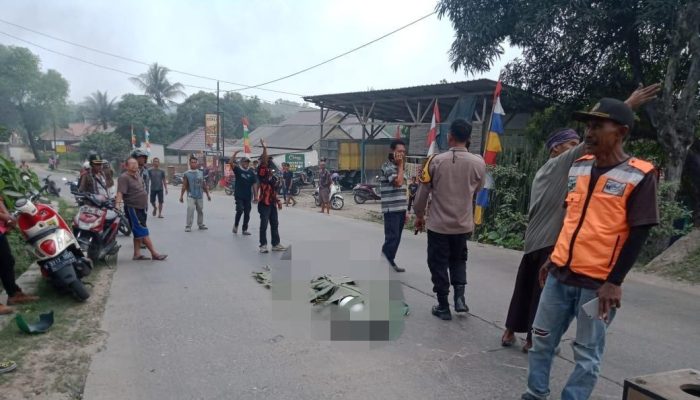 Kronologi polisi nyebur ke kali di Karawang, diduga kabur usai tabrak lari, korban dilarikan ke RS