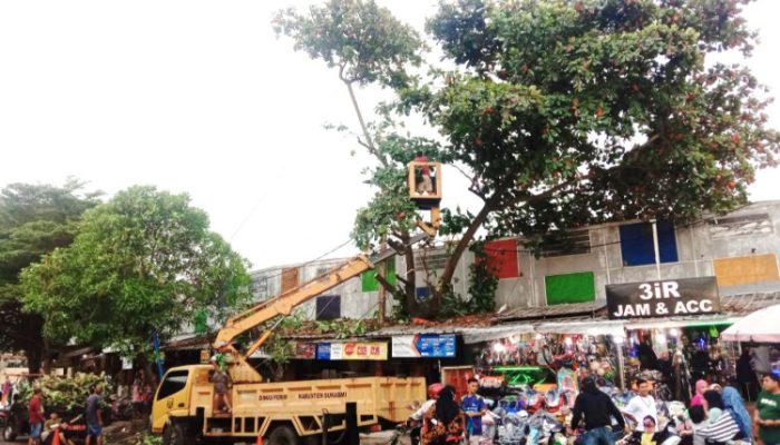 Bandung Langitkan Pohon: Kisah Cegah Bencana