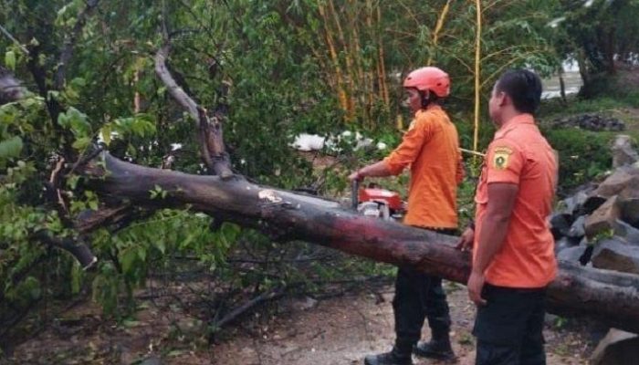 Angin Ngamuk & Longsor Terjang Bogor Akhir Pekan, Belasan Rumah Rusak