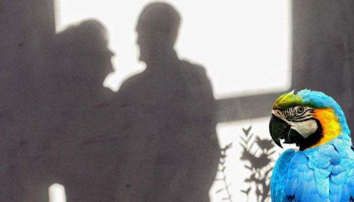 Istri Berubah, Suami Curiga: Terbongkar Perselingkuhan