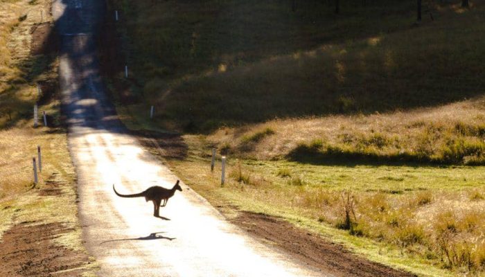 Gratis Transportasi Australia: Imbas Lonjakan BBM