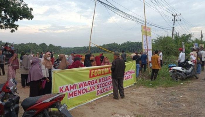 Ular Sanca Menghebohkan Aur: Misteri Subuh Kota Jambi