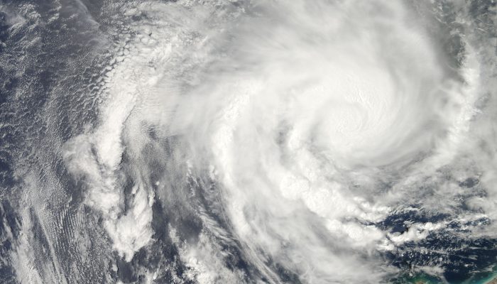 Ningaloo’s Marine Life Devastated by Cyclone Narelle