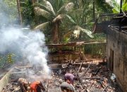 Kebakaran Cirebon: ODGJ Kabur ke Sawah, Rumah Nyaris Ludes
