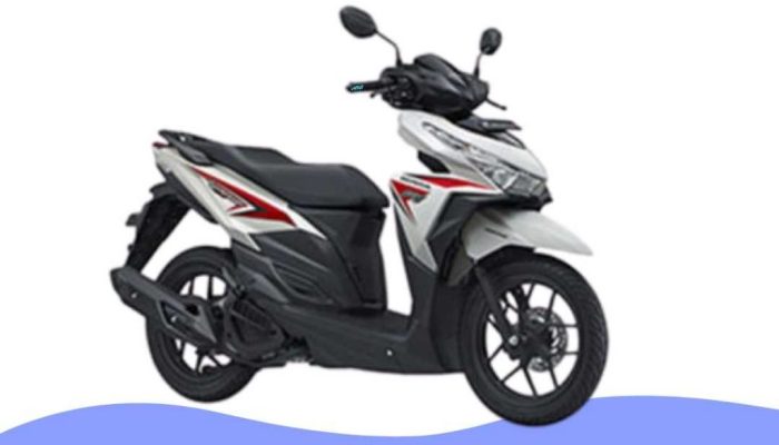 Dadong Jantuk Wafat: Tersenggol Motor di Nusa Penida Usai Menyeberang