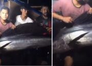 Aksi warga Balikpapan tangkap ikan layaran jadi viral di Manggar