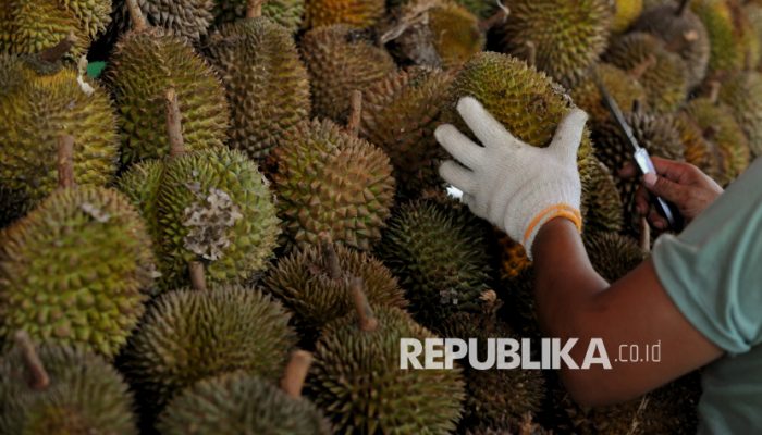 Permintaan China Rp120 Triliun, Durian RI Siap Dapat Bagian Besar