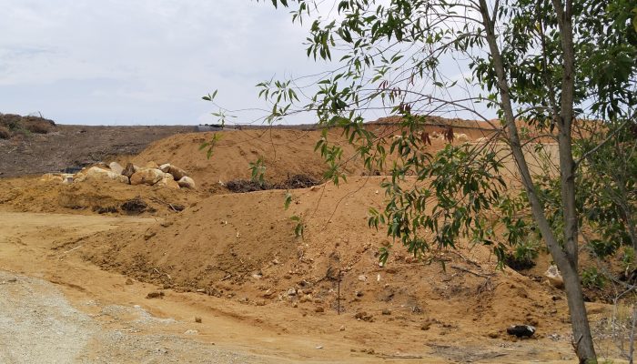 Sorotan Lingkungan di Karimun: Kaki Bukit Gunung Jantan–Betina Gundul, Aktivis Kecam Keras