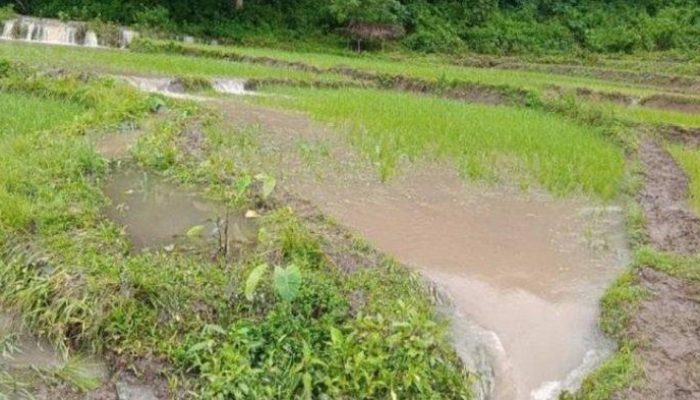 Rumah dan lahan pertanian warga Desa Manong Manggarai terendam banjir bandang