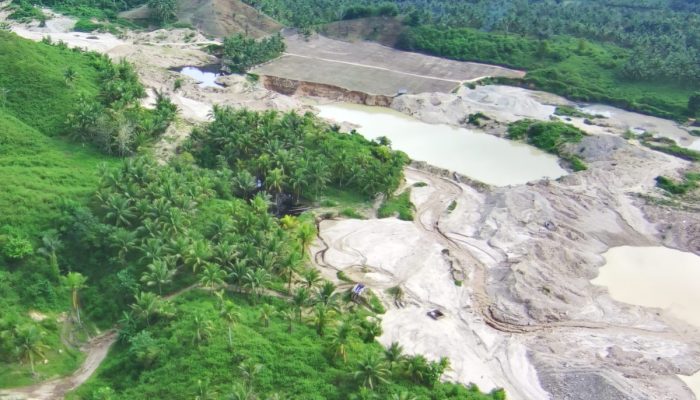 PLN UIP Sulawesi Jamin Kelestarian Cagar Alam Panua di Tengah Proyek SUTT 150 kV Marisa-Moutong