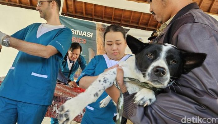Vaksinasi Massal di Mendoyo Bali, Enam Tim Geruduk Lawan Rabies