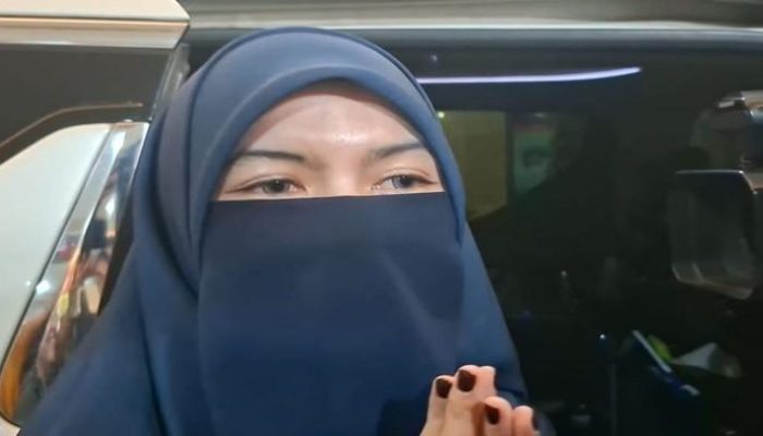 Insanul Fahmi Curiga Mawa Minta Akses Ilegal Dicabut: Diduga Ada Keterlibatan Bersama