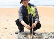 Aksi Menyelamatkan Bumi, Wali Kota bersama Mahasiswa Batam Tanam 2.000 Mangrove