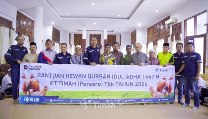 PT Timah Salurkan Hewan Kurban untuk Warga Bangka Tengah, Bantu Ribuan Masyarakat Sambut Iduladha