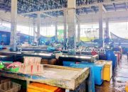 Prihatin, Pengepul Ikan di Kijang Merintih Kesulitan Dapat Pasokan Es Balok